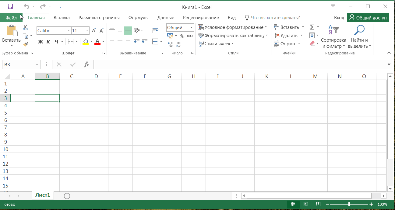 excel_New